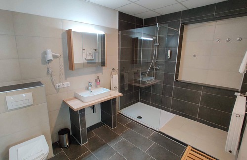 Guenzburg Hotel | Hotel Goldene Traube