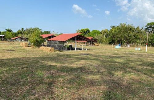 Mahates Cama Y Desayuno | Hotel - Granja de Animales San Basilio de Palenque