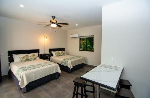 Quebrada Seca Hotel | Hotel Green Jacó