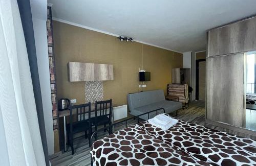Kazbegi Apartamento | Hotel Gudauri loft, Nana's apartment #205 mgzavrebi