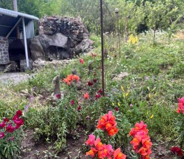 Halidzor Cama Y Desayuno | Hotel Halidzor