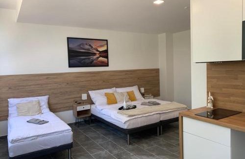 Mosnov Apartamento | Hotel Hangar