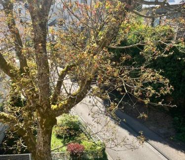 Bad Bertrich Hotel | Hotel Haus Christa