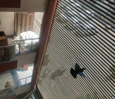 Bahadrabad Hotel | Hotel Haveli