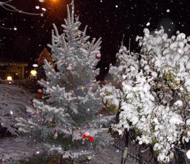 Eforie Nord Hotel | Hotel Holiday