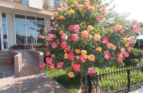 Eforie Nord Hotel | Hotel Holiday