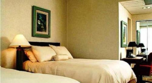Tegucigalpa Hotel | Hotel Honduras Maya