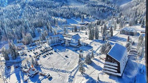 Budureasa Hotel | Hotel Iadolina