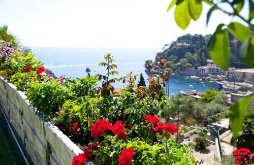 Mazzaro Hotel | Hotel Ipanema