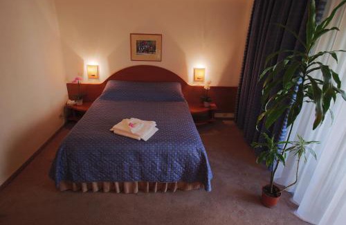 Bucharest City-Centre Hotel | Hotel Irisa