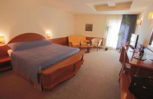 Bucharest City-Centre Hotel | Hotel Irisa