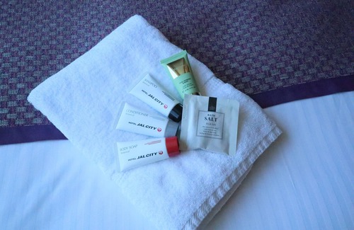 Toyosu Hotel | Hotel JAL City Tokyo Toyosu