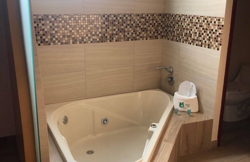 Coyoacán Hotel | Hotel Jard Inn Adults only