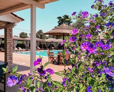 Preveza Apartamento | Hotel Kalamitsi Apartments