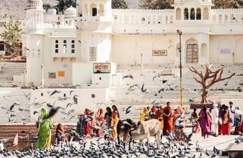 Pushkar Hotel | Hotel Kota kunj Heritage