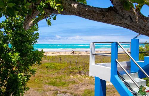 Puerto Villamil Hotel | Hotel La Jungla