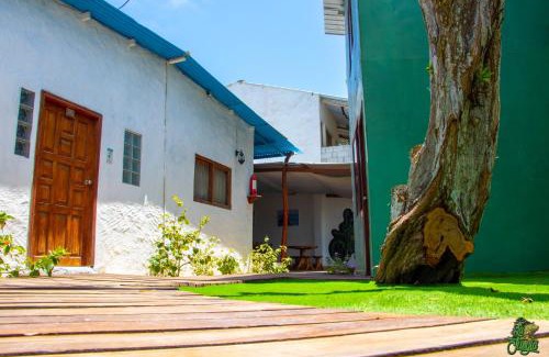 Puerto Villamil Hotel | Hotel La Jungla