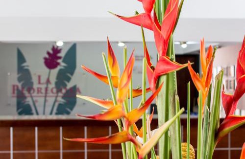 Mérida Hotel | Hotel La Pedregosa