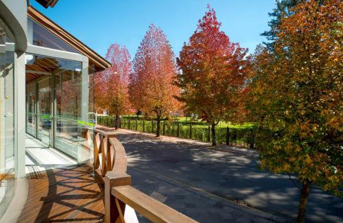 Planalto Hotel | Hotel Laghetto Premio