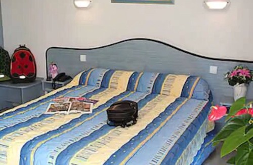 Mulhouse Hotel | Hotel le Strasbourg