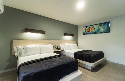 Zona Expo Hotel | HOTEL LEMON GREEN -Zona Expo Frente al Centro de Convenciones