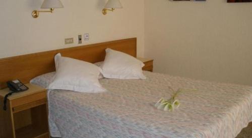 Alicante Hotel | Hotel Leuka