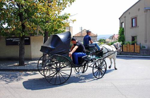 Mtskheta Apartamento | Hotel Liva