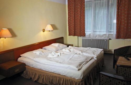 Frysava pod Zakovou horou Complejo | Hotel Medlov Depandance