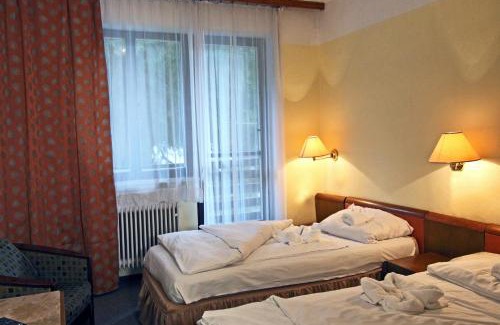 Frysava pod Zakovou horou Complejo | Hotel Medlov Depandance