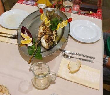 Biograd na Moru Hotel | HOTEL MEDUZA