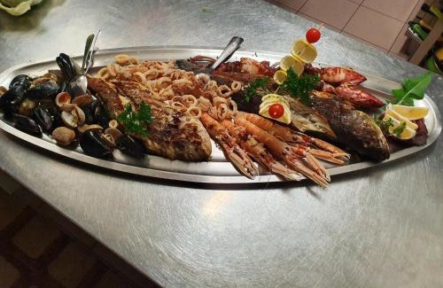 Biograd na Moru Hotel | HOTEL MEDUZA