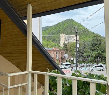 Borjomi Hotel | Hotel Meidani