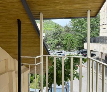 Borjomi Hotel | Hotel Meidani