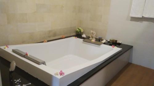 Anturan Complejo | Hotel Melamun