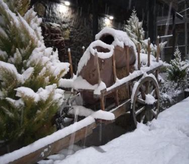 Akhaltsikhe Casa | Hotel Meskhuri Oda