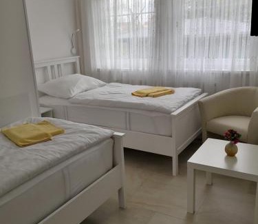 Hluboka nad Vltavou Hotel | Hotel Milan Vopicka