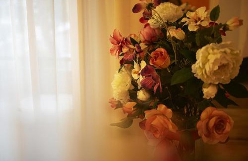 Riccione Hotel | Hotel Mocambo Riccione CENTRALISSIMO AL MARE
