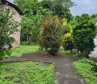 Ometepe Island Hotel | Hotel Museo El Ceibo