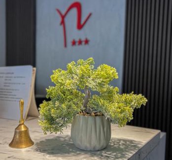 Timisoara Hotel | Hotel Neon