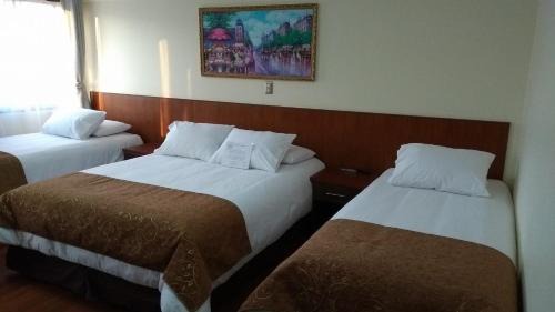 Temuco Hotel | Hotel Newen