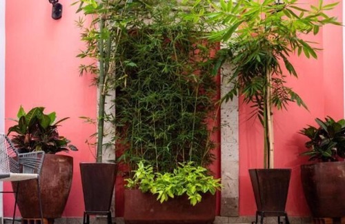 Tequila Hotel | Hotel Nueve Agaves