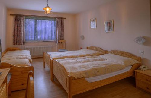 Saas Almagell Hotel | Hotel Olympia