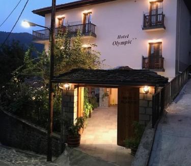 Metsovo Hotel | Hotel Olympic