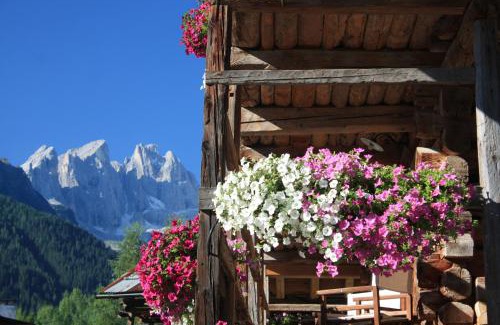 Pie Falcade Hotel | Hotel Orsa Maggiore