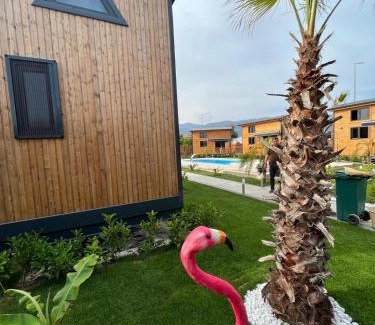 Demre Apartamento | Hotel Palm House