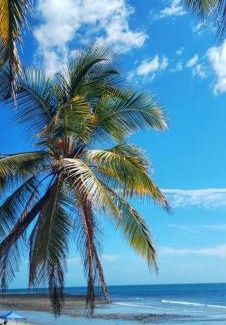 El Palmar Cabina | Hotel Palmar Surf Camp & School