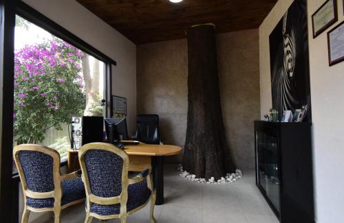 Teotihuacán Centro Hotel | Hotel Palmas Teotihuacán
