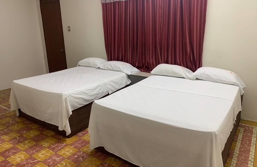 Zona Centro Hotel | Hotel Papagayo