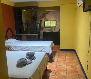 Coyolar Hotel | Hotel paso real