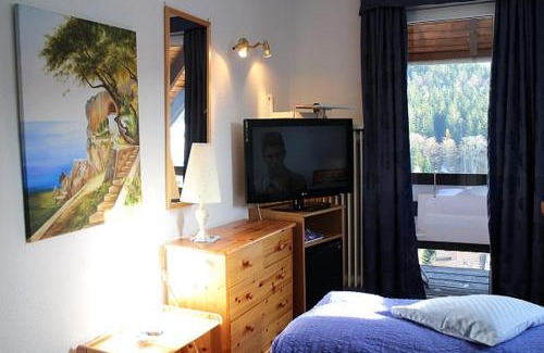 Hinterzarten Hotel | Hotel-Pension Thomé